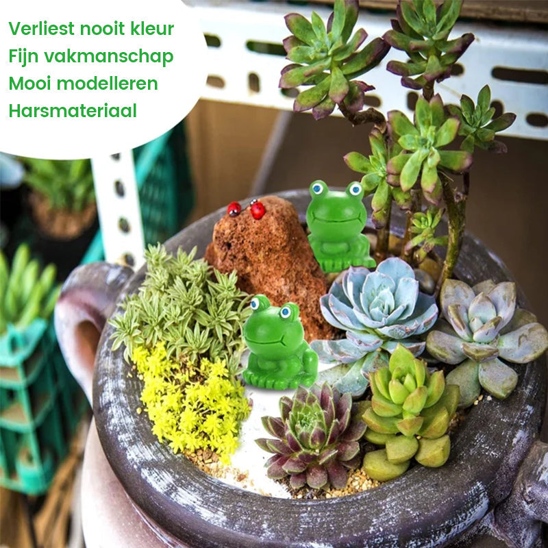 🐸Kleine kikker | Uitdaging Verstoppende Kikker