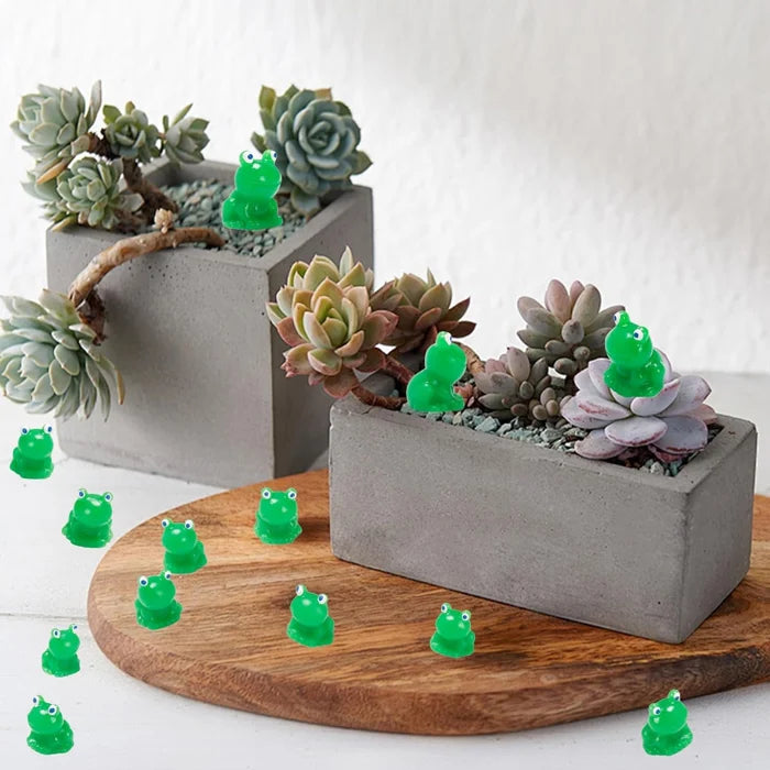 🐸Kleine kikker | Uitdaging Verstoppende Kikker