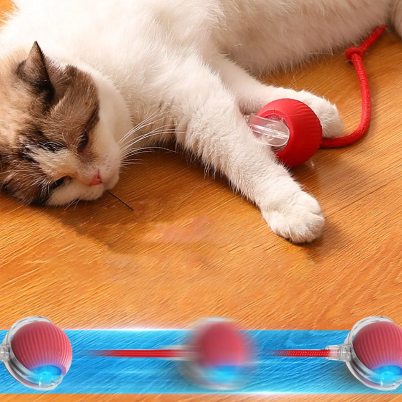 Slimme interactieve kattenbal