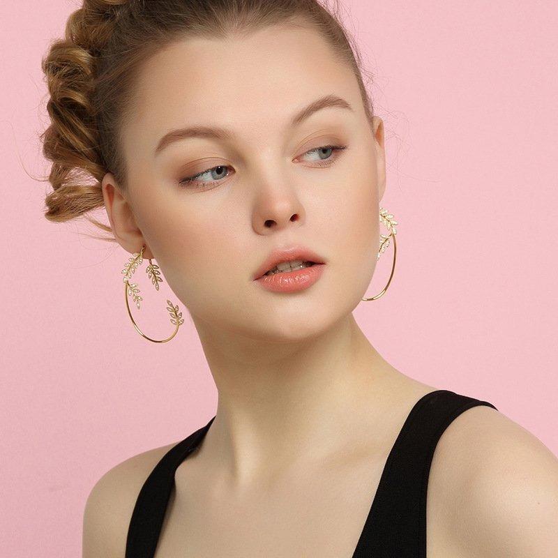 Glanzende Zirkoon Oorbellen