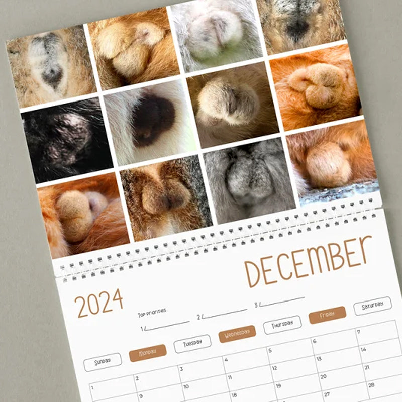 Grappige kattenballen kalender 2024