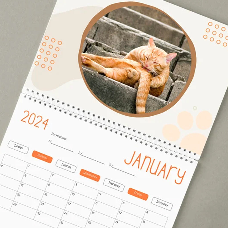 Grappige kattenballen kalender 2024