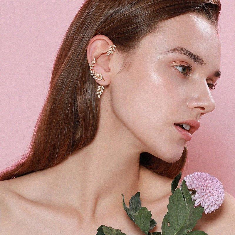 Glanzende Zirkoon Oorbellen